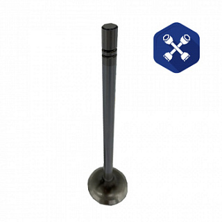 Клапан впускной Caterpillar C13